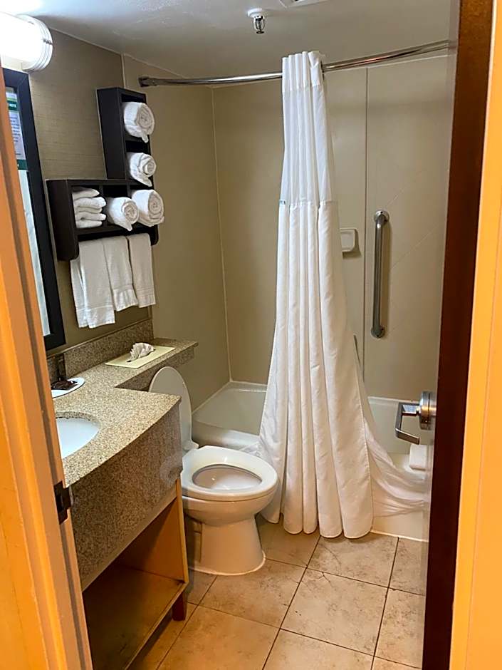 Wingate by Wyndham Springfield