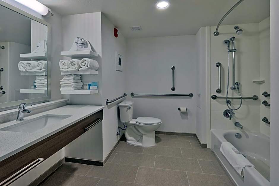 Hampton Inn By Hilton & Suites Artesia