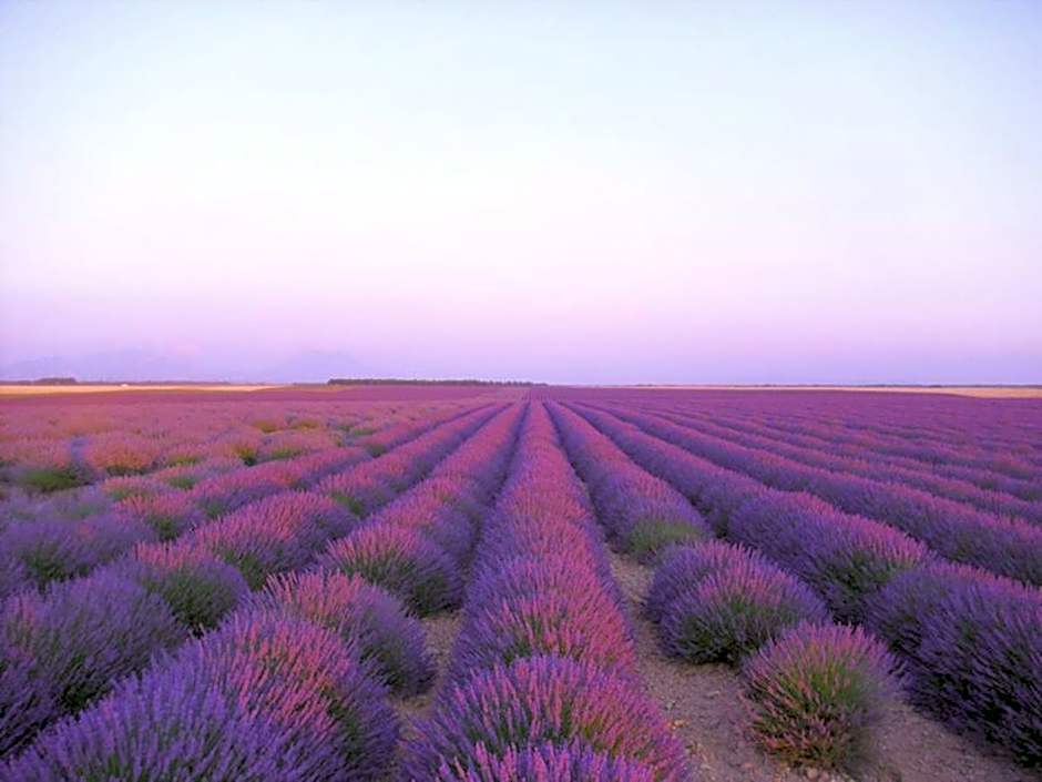 Hotel Les Restanques De Moustiers