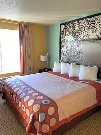 King Studio Suite with Sofa Bed and Kitchenette - Non-Smoking