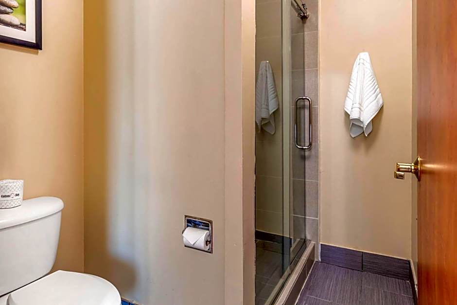 Comfort Suites Dallas Park Central