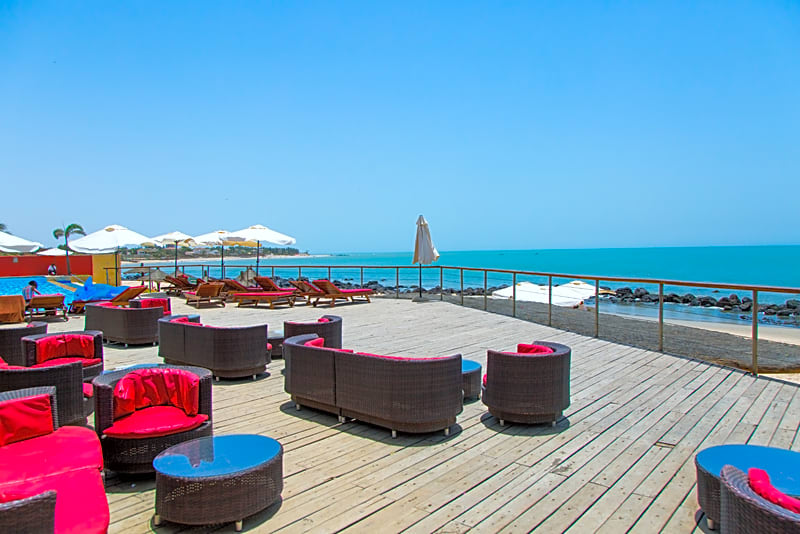 Royal Horizons Baobab