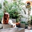 Coco Rio Hotel by Hospitality Wellbeing
