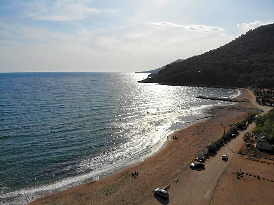 Hurmalik Aparts & Bungalows - Family Bungalows - Large Garden Bungalow with Barbecue