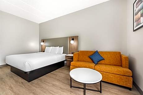 King Room with Roll-In Shower - Mobility Access