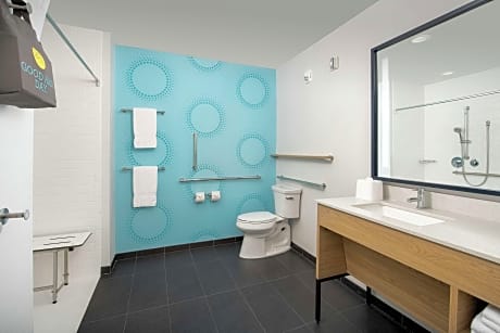 2 Queen Mobility Accessible Roll In Shower