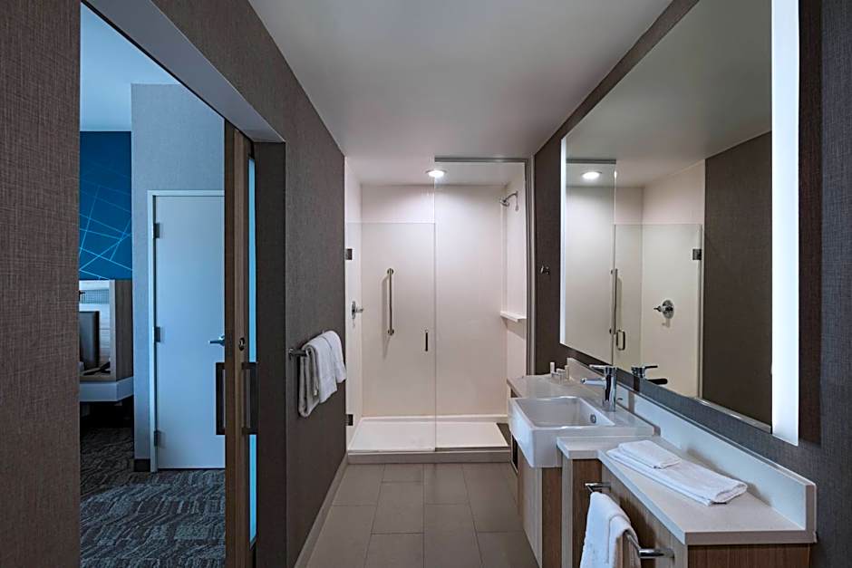 SpringHill Suites by Marriott Waco