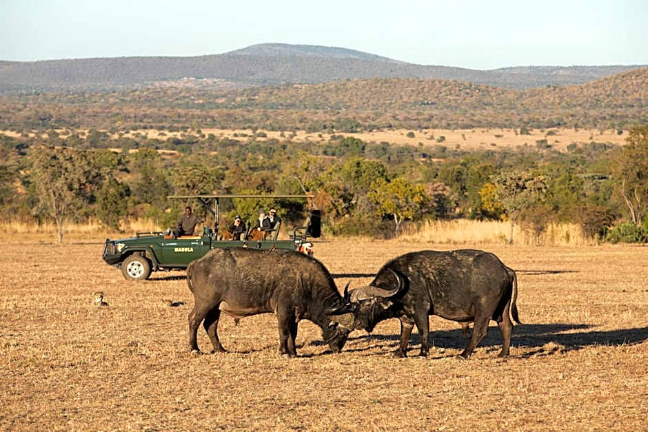 Mabula Game Lodge