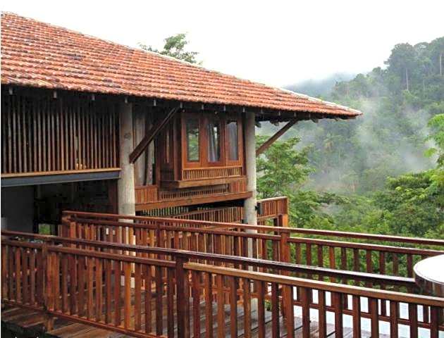 The Shorea