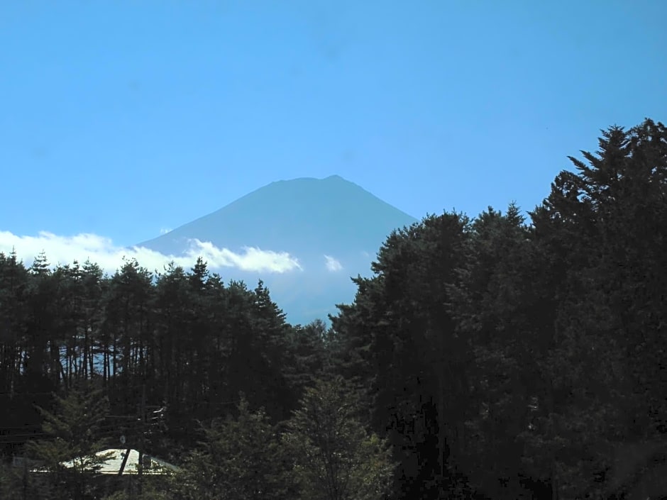 Evergreen Fuji