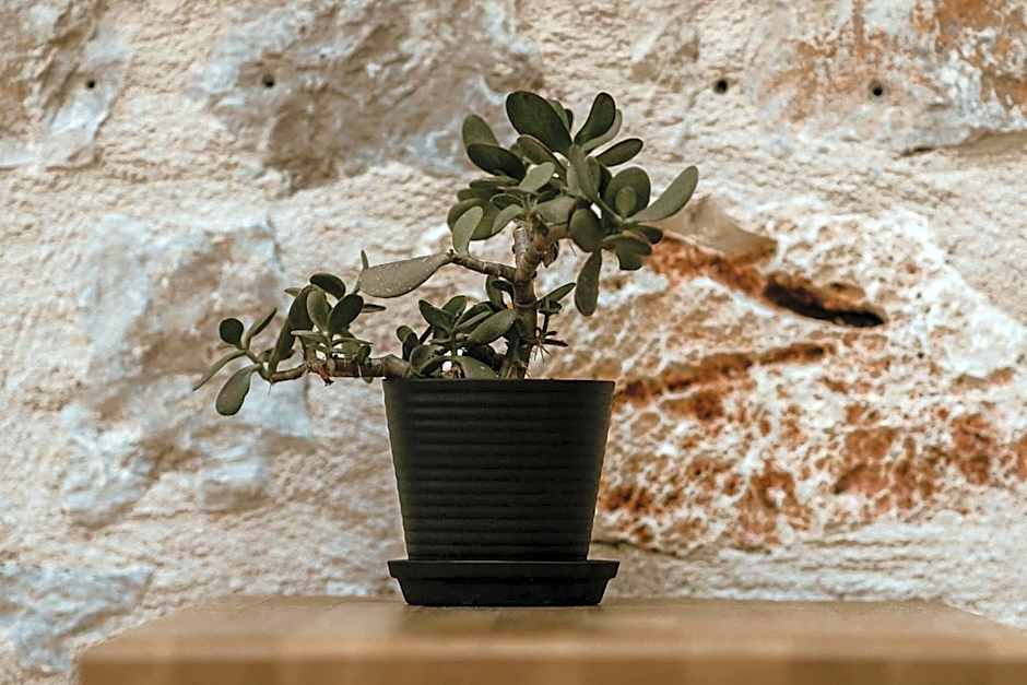 BOĒM Boutique Hotel Lefkada