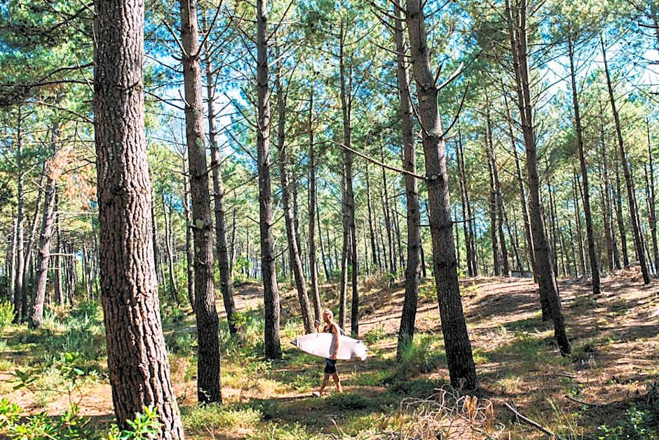 Single Fin Hotel & Lodge