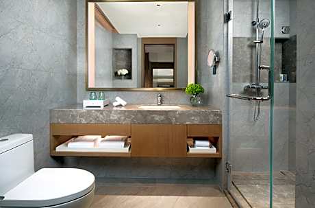 Holiday Inn Shunde By IHG