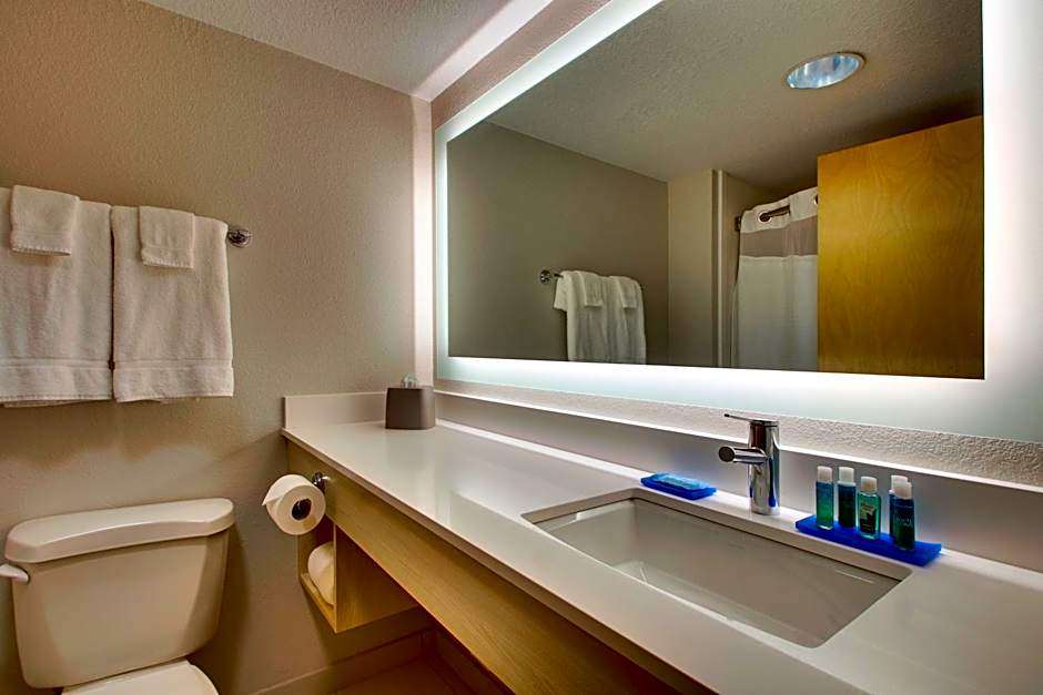 Holiday Inn Express Hotel & Suites Cedar Rapids I-380 at 33rd Avenue By IHG