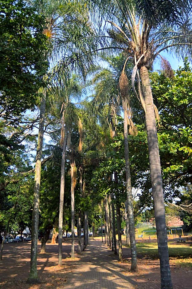 Essenwood Park Hotel