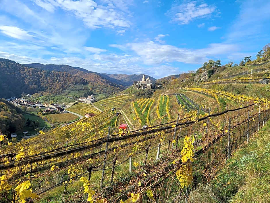 Frühstückspension Leopold Janu