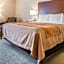 Comfort Inn Salida