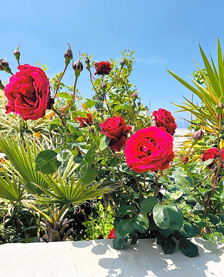 Hotel Villa Fiorentina