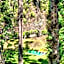 Hotel Fazenda Golden Park Campos do Jordão