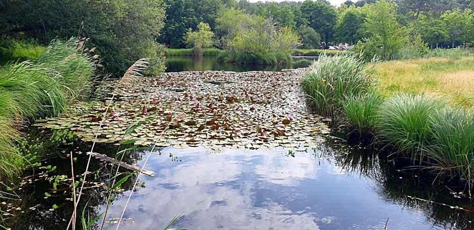 Chambres Du Petit Bonheur