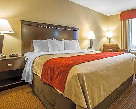 1 King Bed, Nonsmoking, Accessible