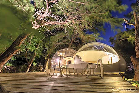 BUBBLE Ocean Paradise