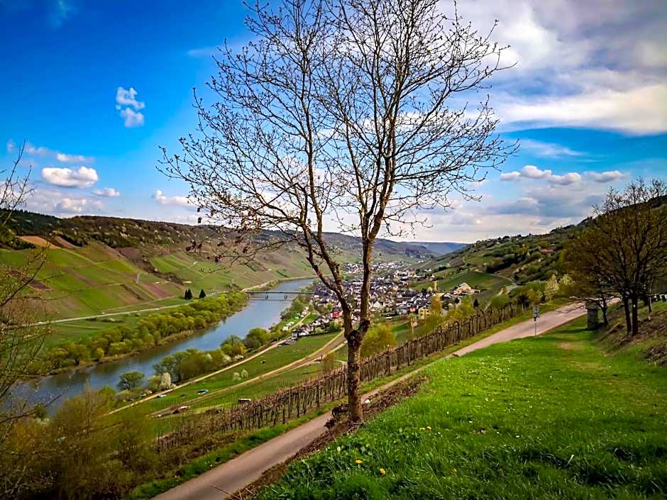 Weinhaus Burg-Schneider