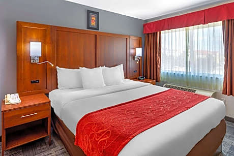 King Suite - Disability Access/Non-Smoking