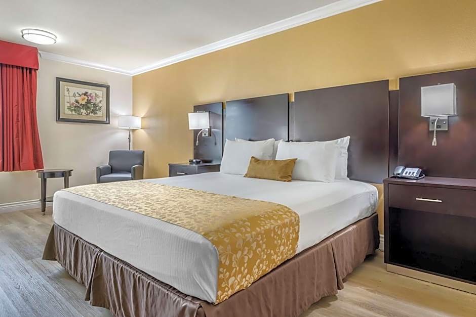 Best Western Plus South Bay Hotel