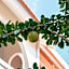 MAHALONA BALI STAY