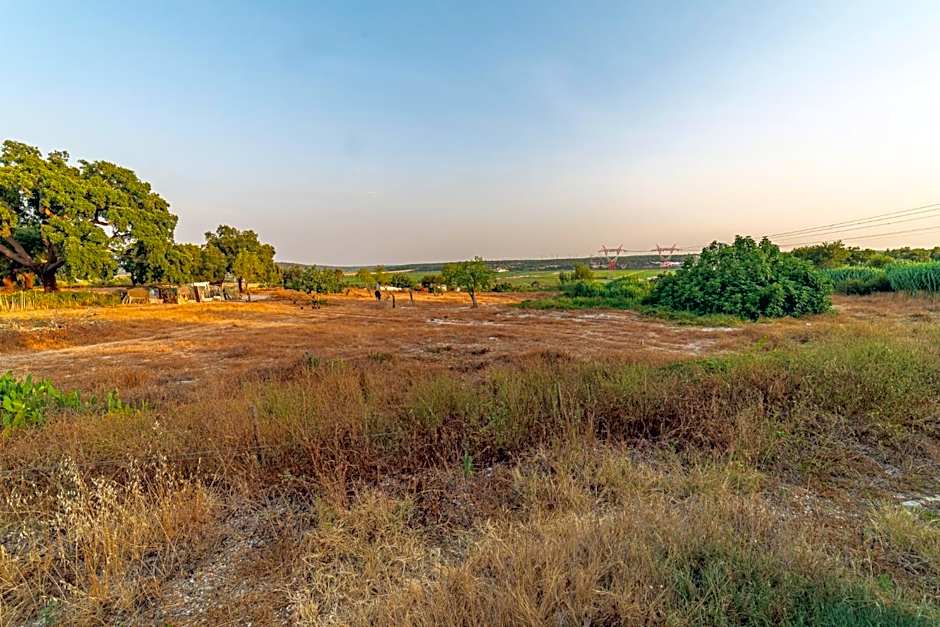 4Ever Palace Design&Nature