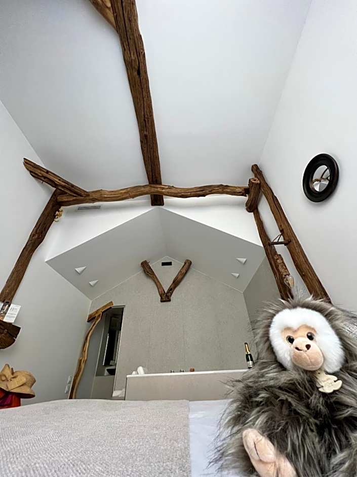 Tamarin & Capucin Suite Balnéo