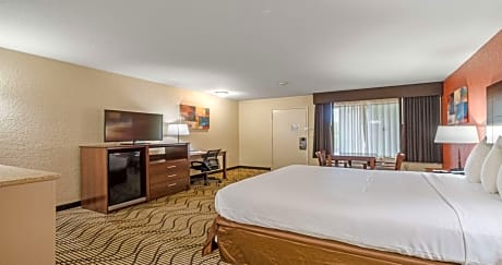 1 KING BED,NSMK,DLX OVRSZD,MICRFG,WIFI,DESK,WETBAR,FULL BREAKFAST