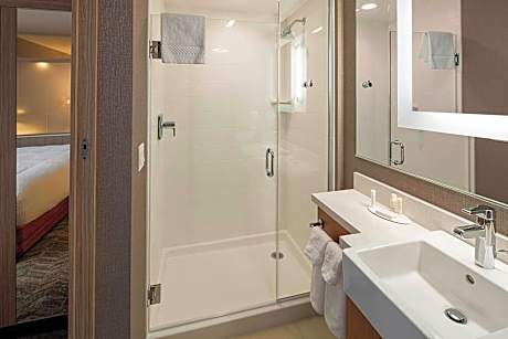 Suite, 1 King Bed with Sofa bed (1 King Bed and 1 Double Sofa Bed)