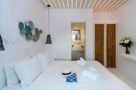 Basic Double or Twin Room with Pool View