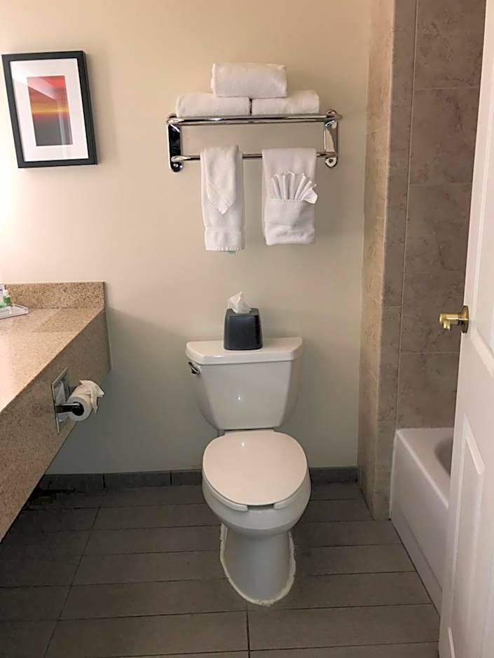 Holiday Inn Hotel & Suites Ann Arbor University of Michigan Area By IHG