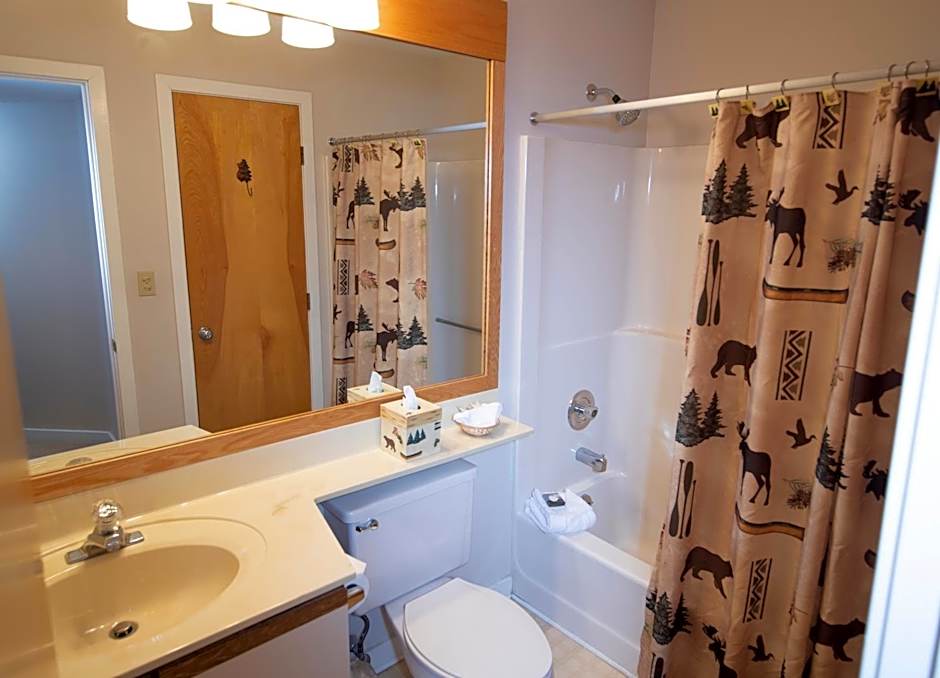 Mountain Lodge at Okemo, A Vail Resorts Property