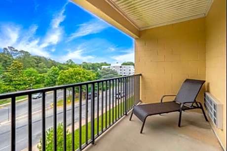 Suite Park View