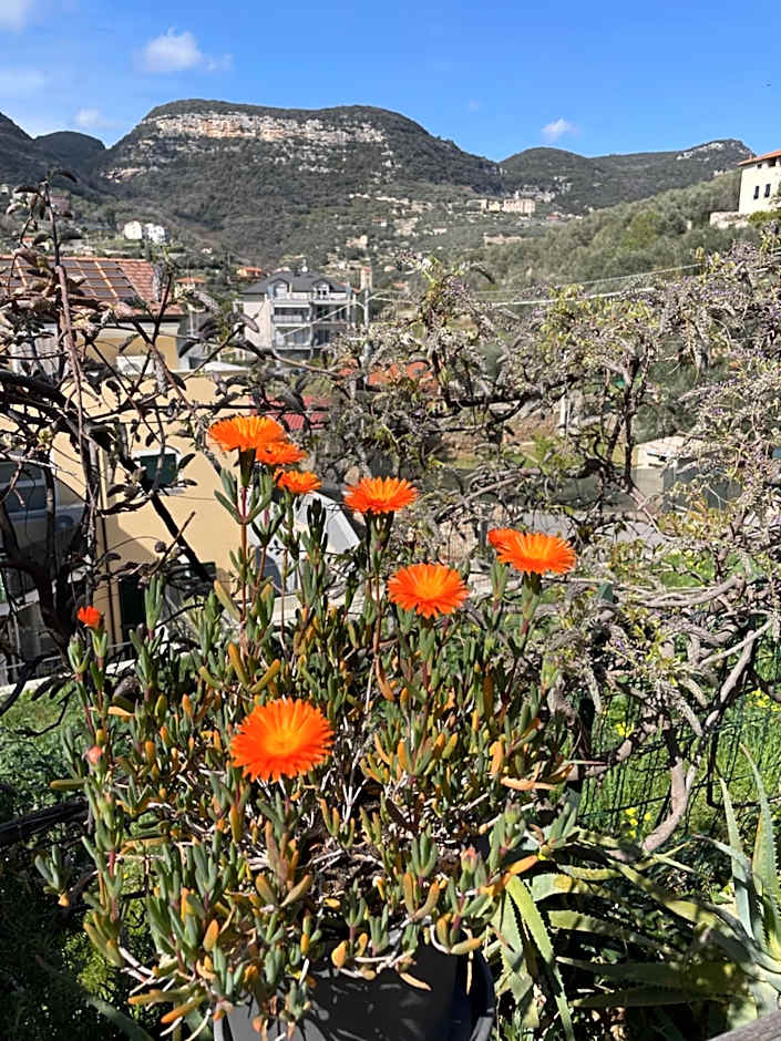 B&B La DORMERIA