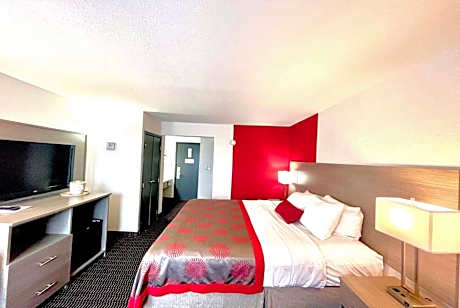 1 King Bed Non-Smoking
