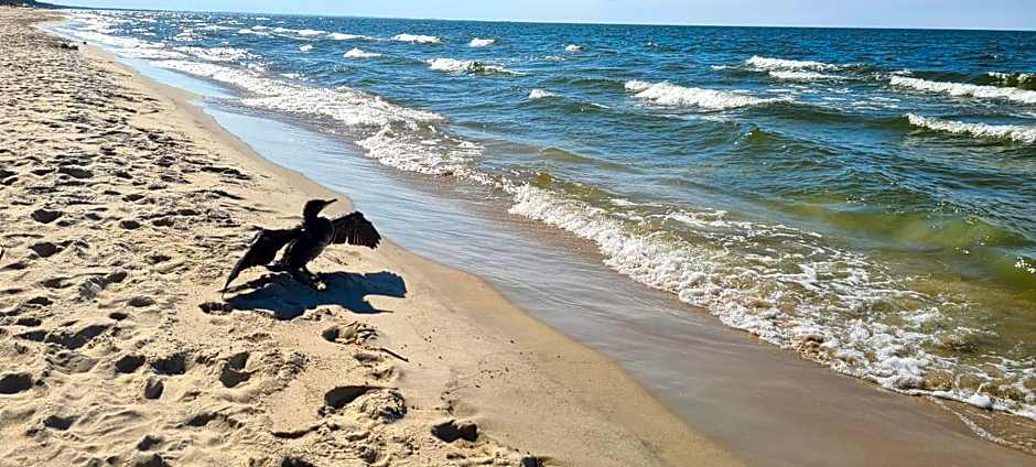 Dom Derbend na wyłączność