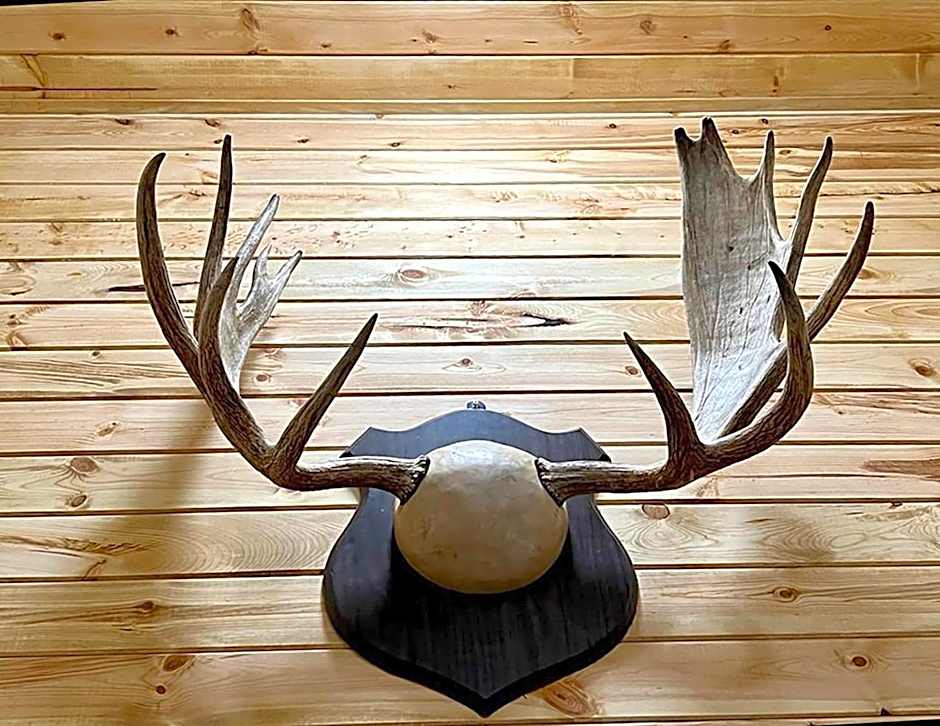 Beartooth Hideaway Inn & Cabins