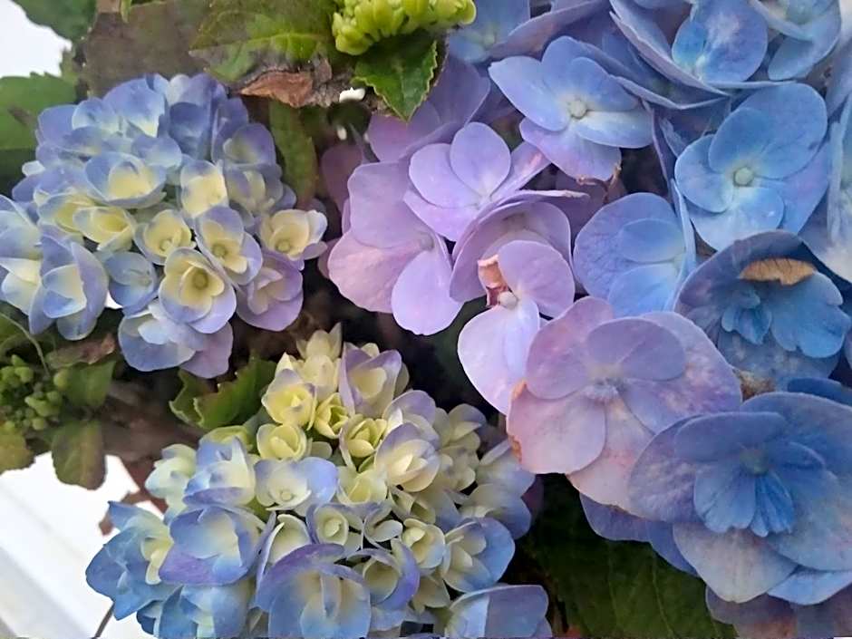 Bea's Bed & Breakfast