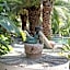 Flamingo Hotel & Spa - Pet Friendly