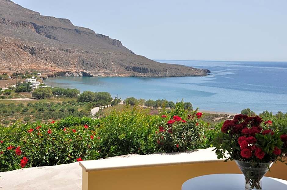 Kato Zakros Palace Apartments