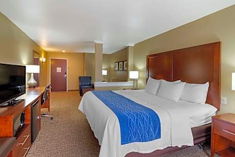 1 King Bed, Suite, Nonsmoking, Accessible