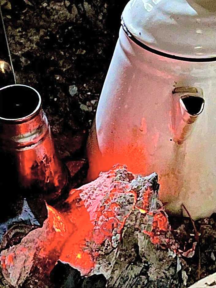 Oasis Fighting Kangaroo