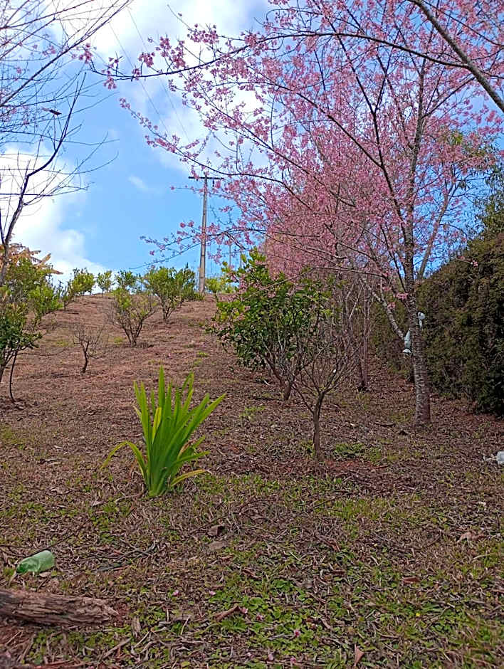 Recanto das Videiras