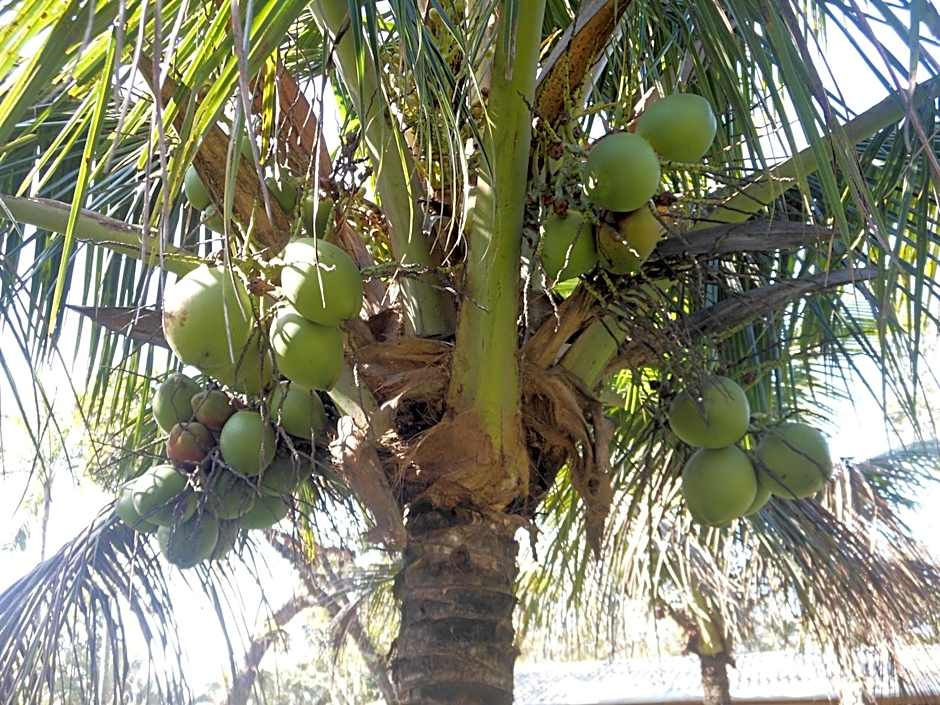 Piratas Cabanas Camping Bar