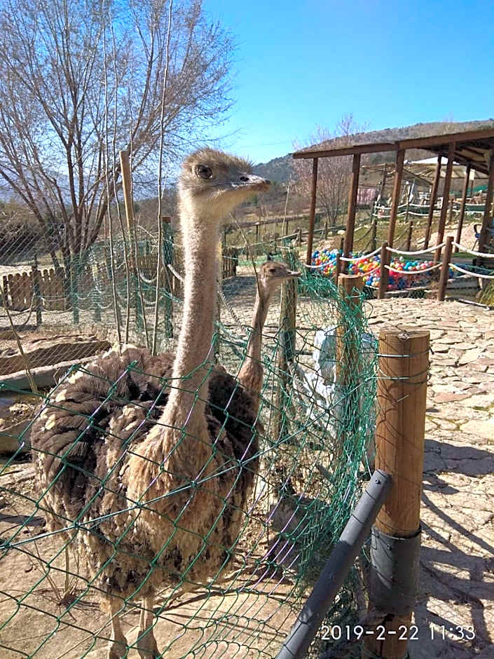 Posada Rural SPA Granja LA TEJERA de Lozoya